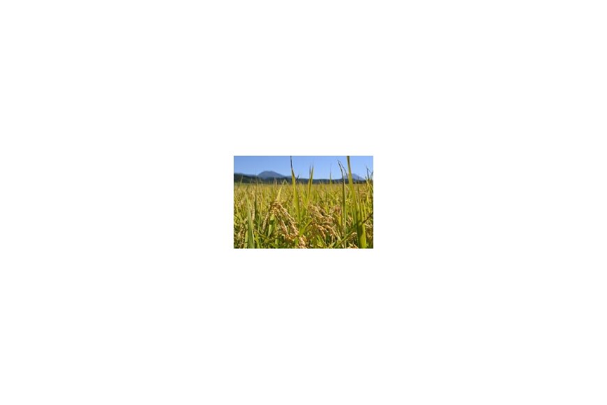 蘭越町ってどんなところ?拡大画像