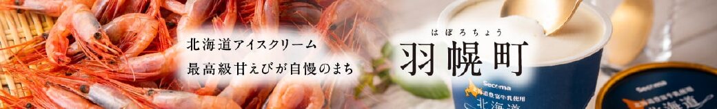 北海道羽幌町
