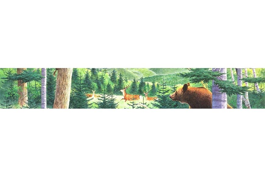斜里町ってどんなところ?拡大画像