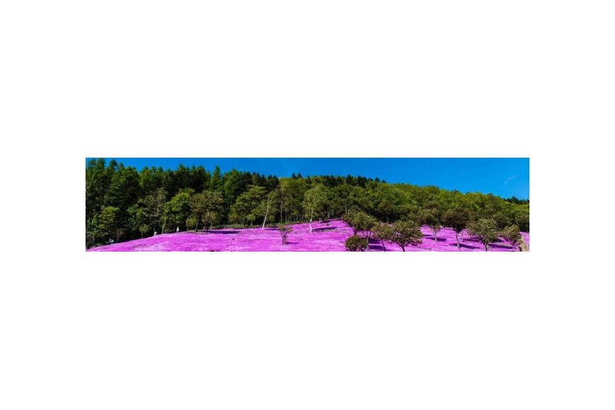 滝上町ってどんなところ？拡大画像