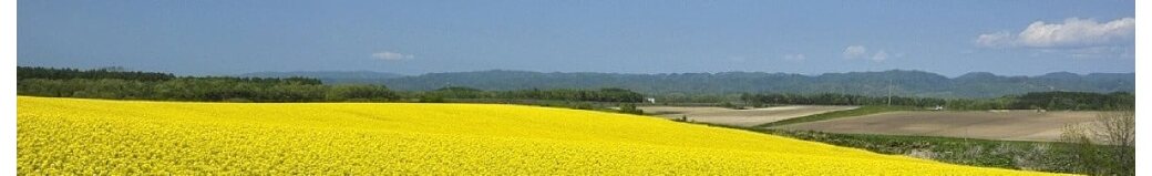 北海道安平町