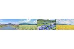 岩手県紫波町