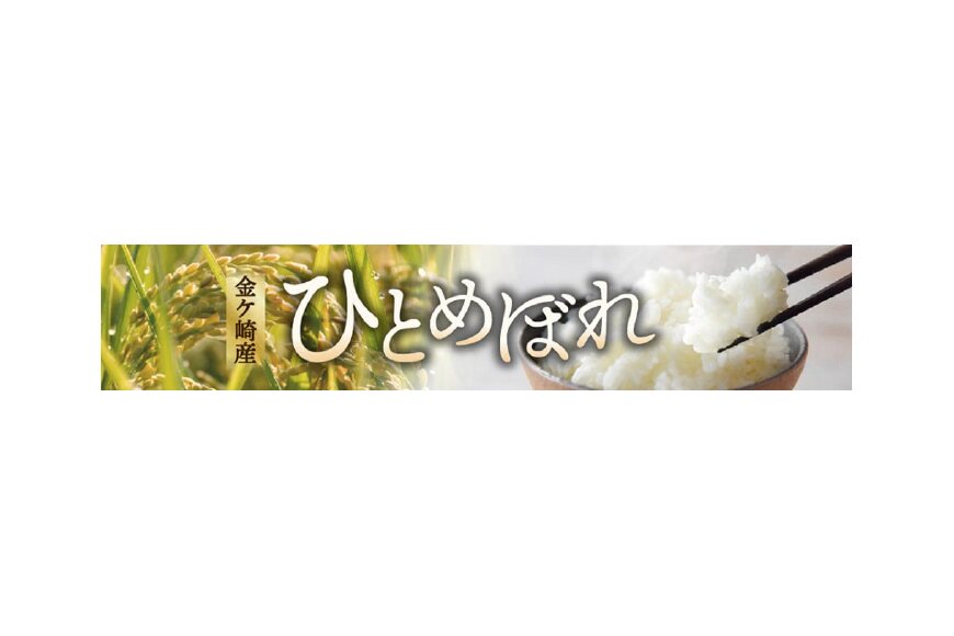 金ケ崎町ってどんなところ?拡大画像