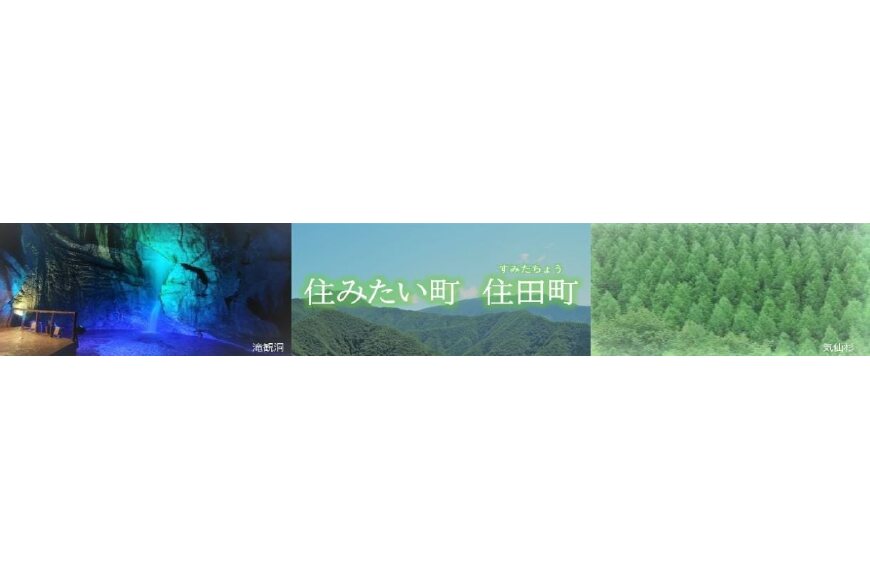 住田町ってどんなところ?拡大画像