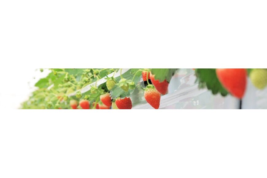山元町ってどんなところ?拡大画像