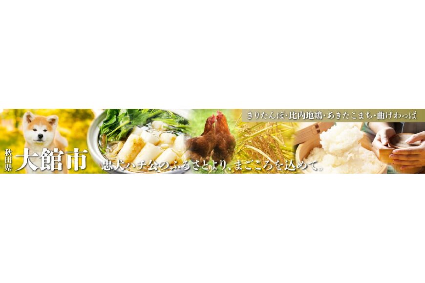 大館市ってどんなところ?拡大画像