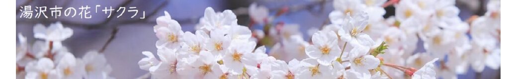 秋田県湯沢市