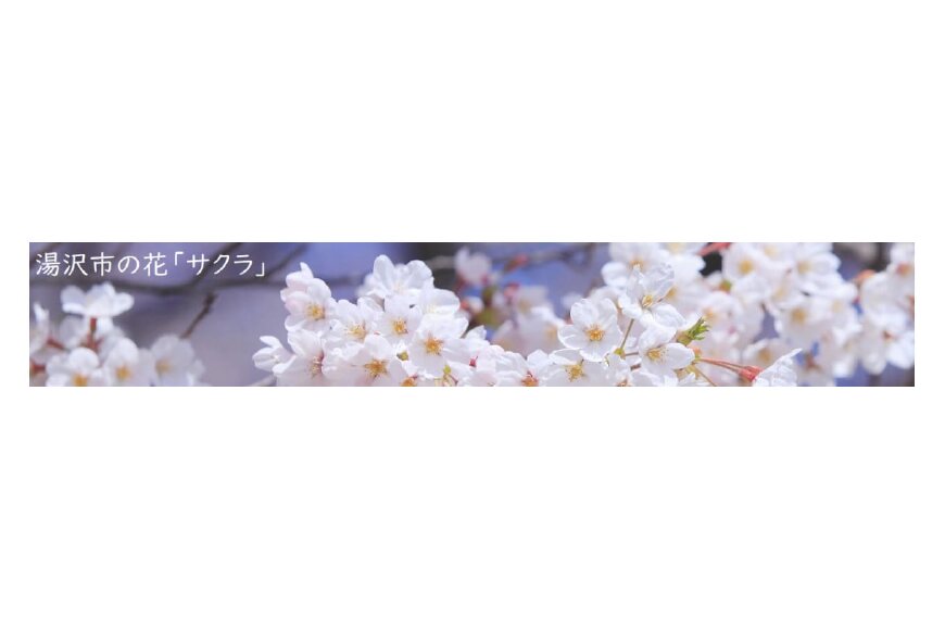 湯沢市ってどんなところ?拡大画像