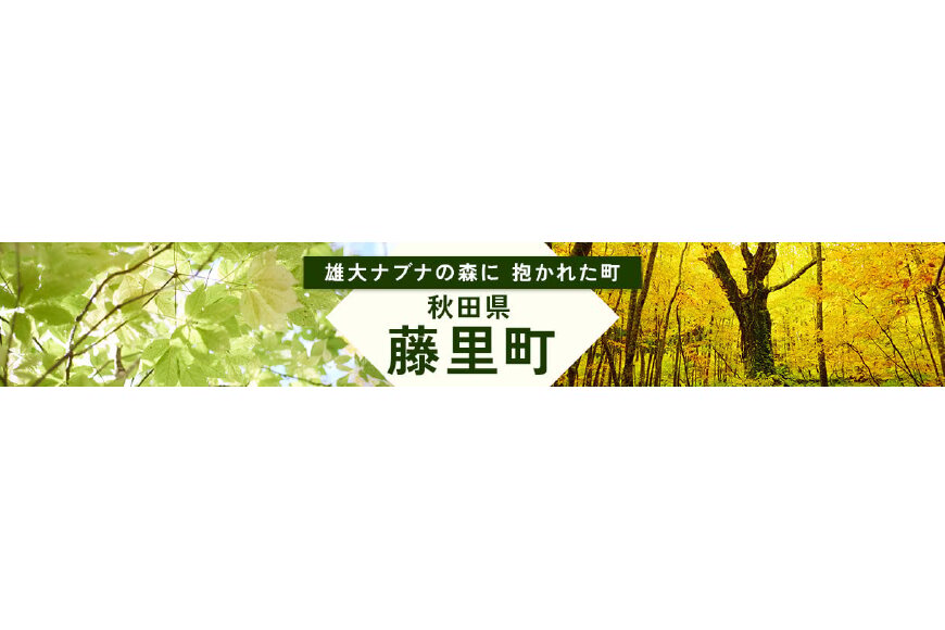 藤里町ってどんなところ?拡大画像