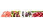 山形県大江町