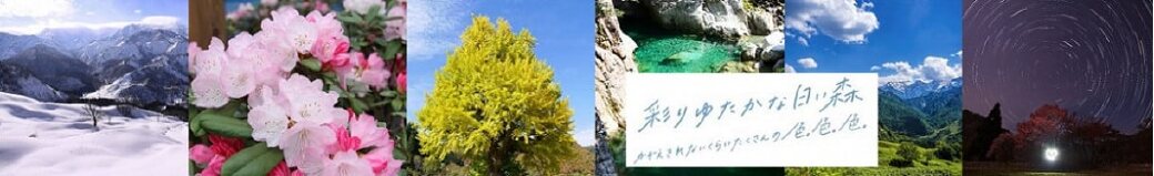 山形県小国町