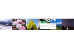 山形県小国町