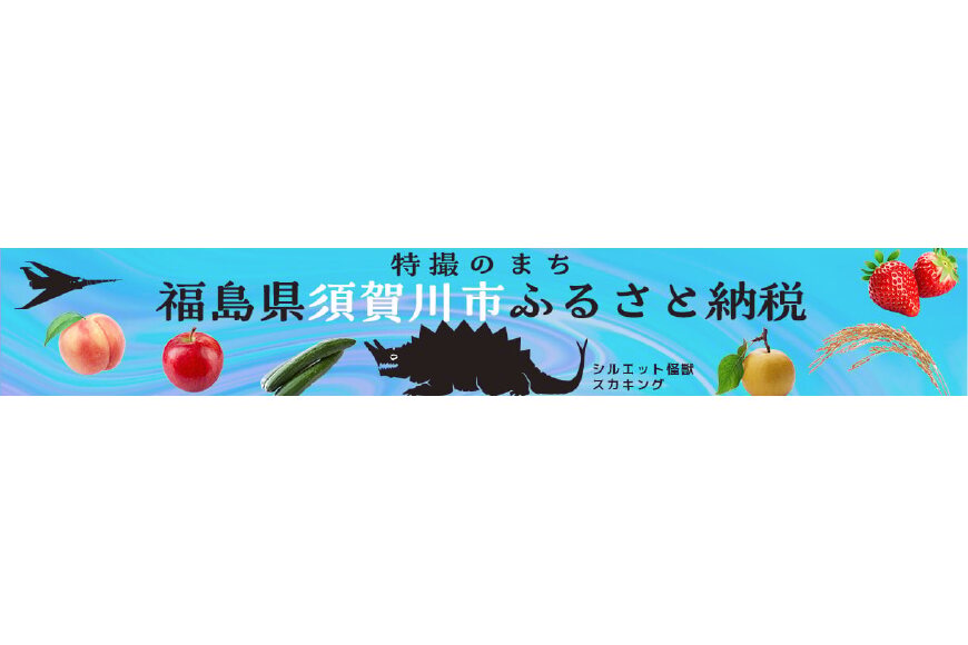 須賀川市ってどんなところ?拡大画像