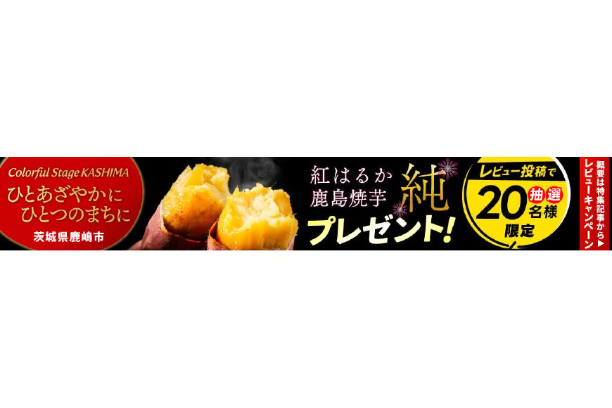 鹿嶋市ってどんなところ?拡大画像