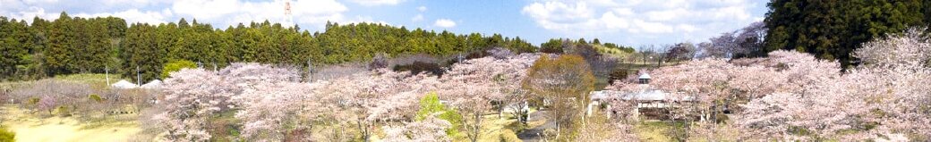 茨城県那珂市