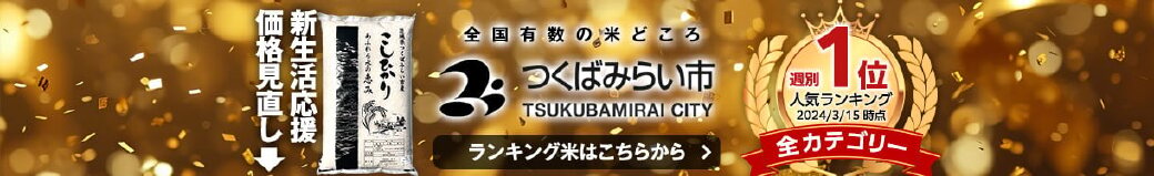 茨城県つくばみらい市