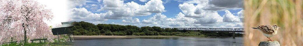 茨城県五霞町