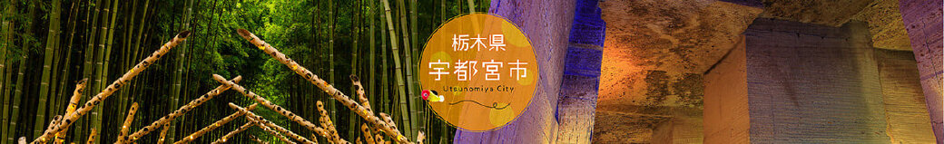 栃木県宇都宮市