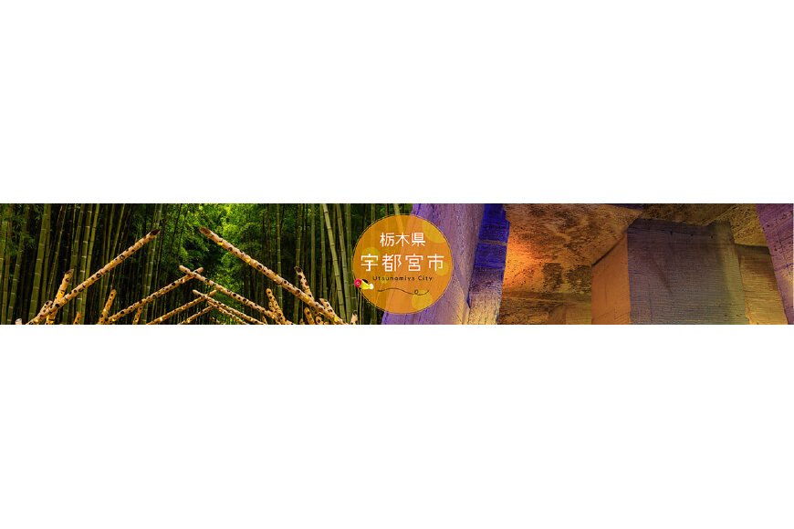 宇都宮市ってどんなところ?拡大画像