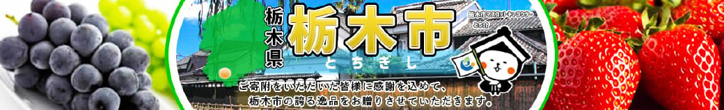 栃木県栃木市
