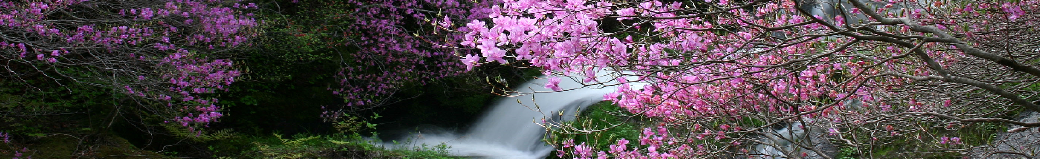 栃木県日光市