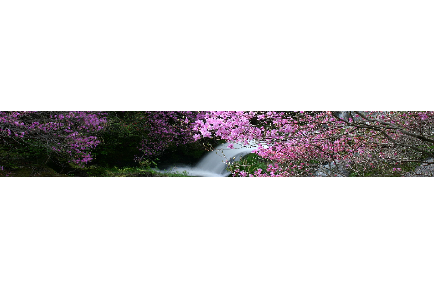 日光市ってどんなところ?拡大画像