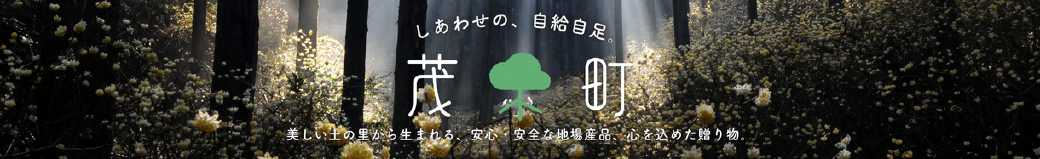 栃木県茂木町
