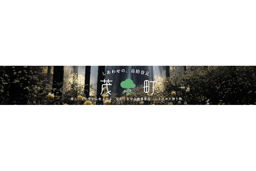 茂木町ってどんなところ?拡大画像
