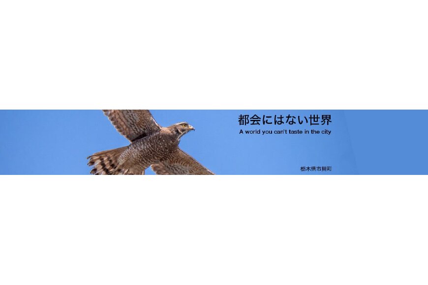市貝町ってどんなところ?拡大画像