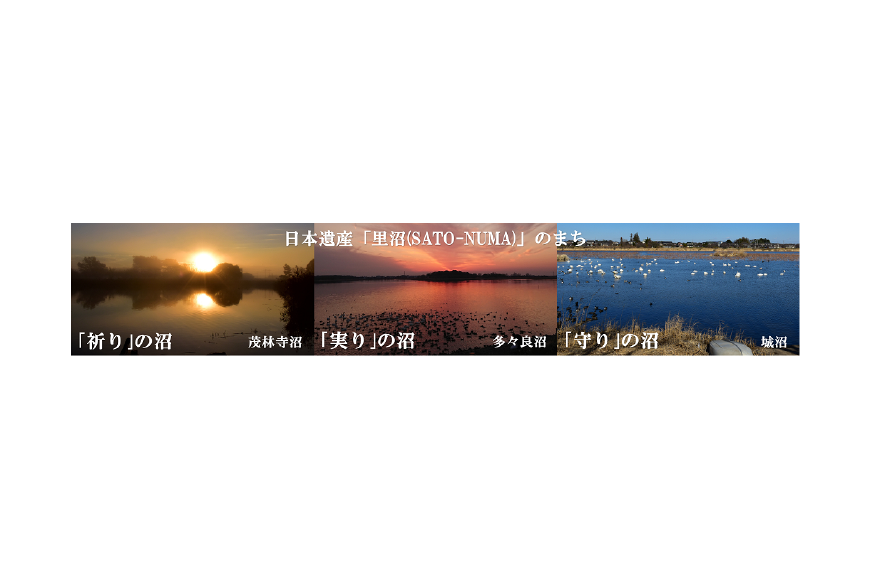 館林市ってどんなところ?拡大画像