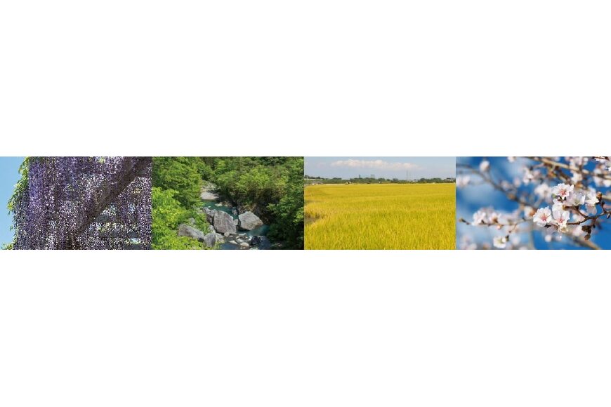 藤岡市ってどんなところ?拡大画像