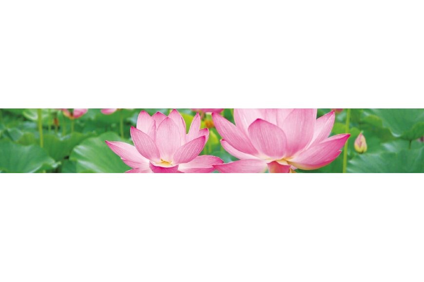 行田市ってどんなところ?拡大画像