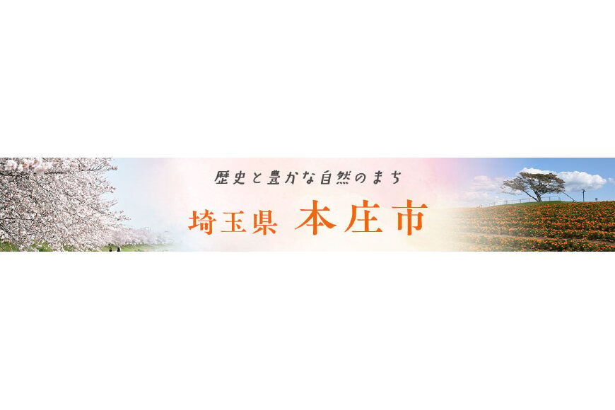 本庄市ってどんなところ?拡大画像