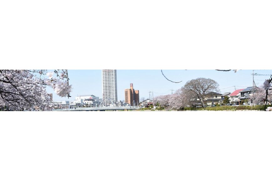 春日部市ってどんなところ?拡大画像