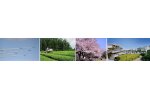 埼玉県狭山市