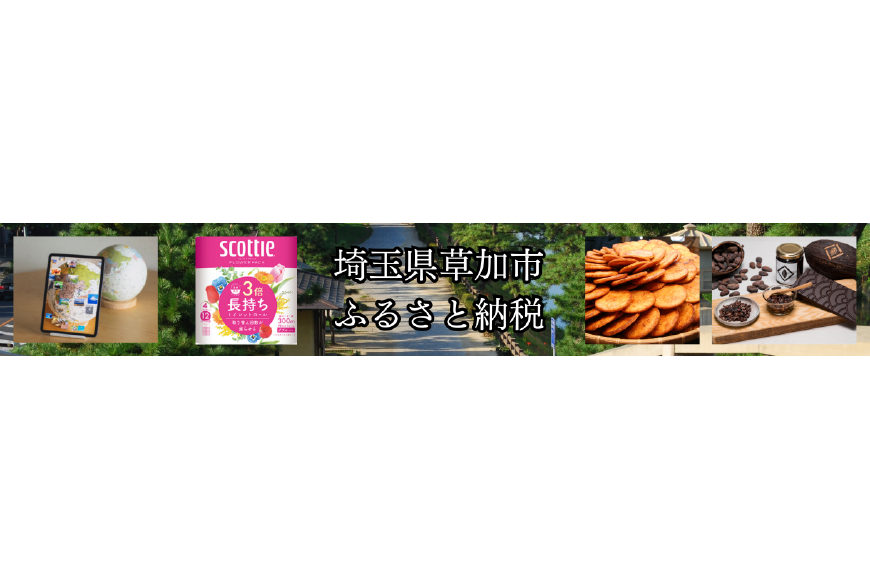 草加市ってどんなところ?拡大画像