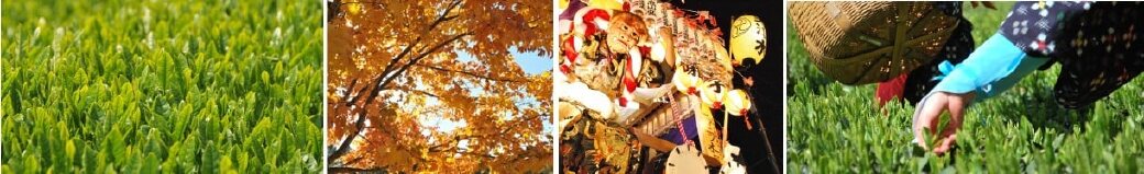 埼玉県入間市