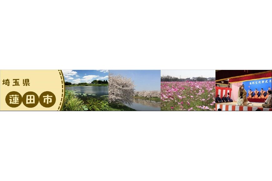 蓮田市ってどんなところ?拡大画像