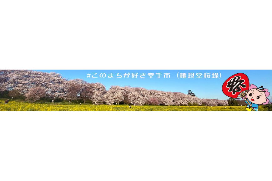 幸手市ってどんなところ?拡大画像