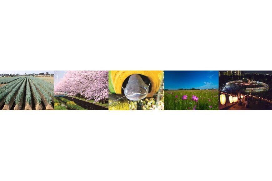 吉川市ってどんなところ?拡大画像