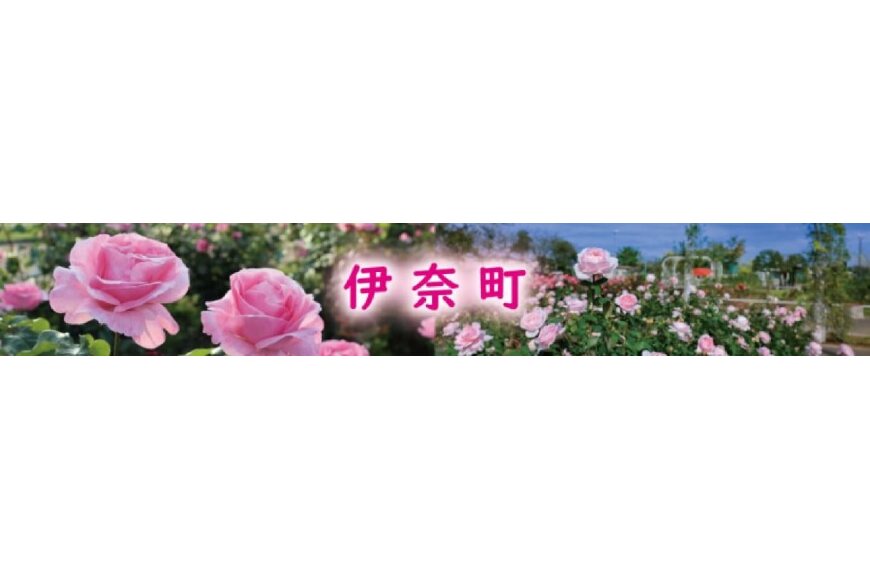 伊奈町ってどんなところ?拡大画像