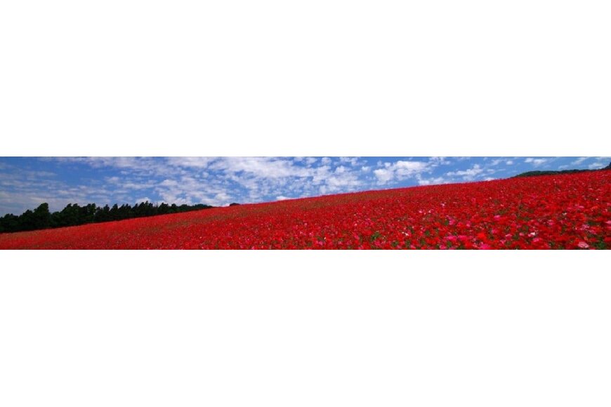 皆野町ってどんなところ?拡大画像