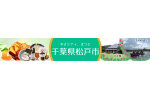 千葉県松戸市