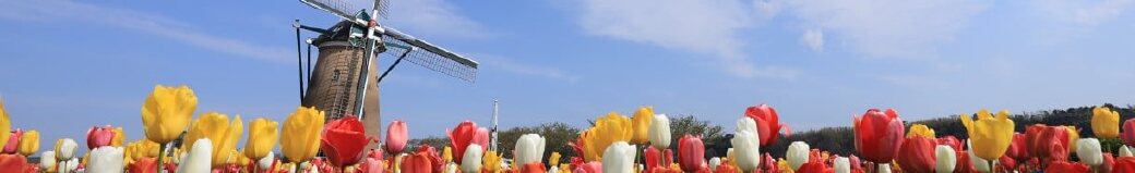 千葉県佐倉市