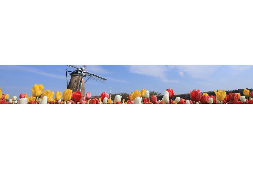 佐倉市ってどんなところ?拡大画像