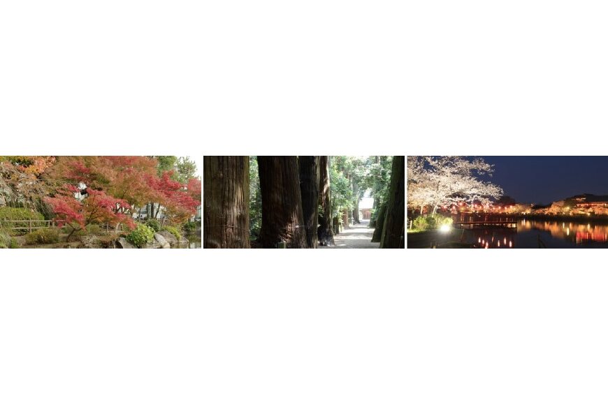 東金市ってどんなところ?拡大画像