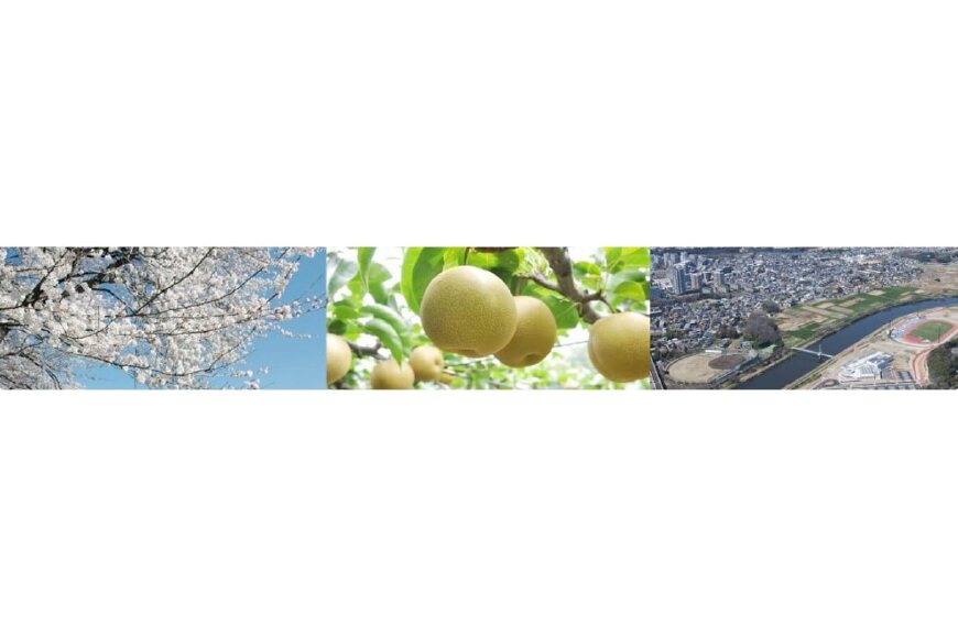 八千代市ってどんなところ?拡大画像