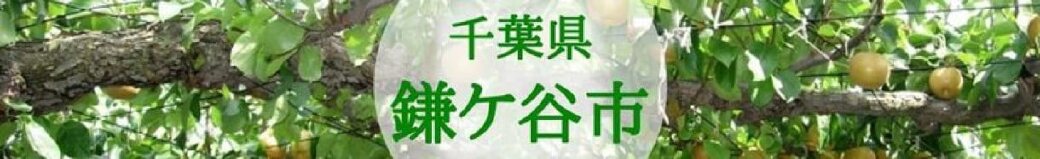 千葉県鎌ケ谷市