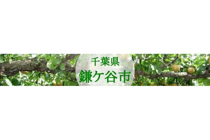 鎌ケ谷市ってどんなところ?拡大画像