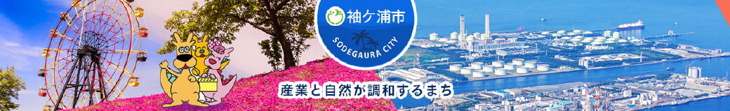 千葉県袖ケ浦市